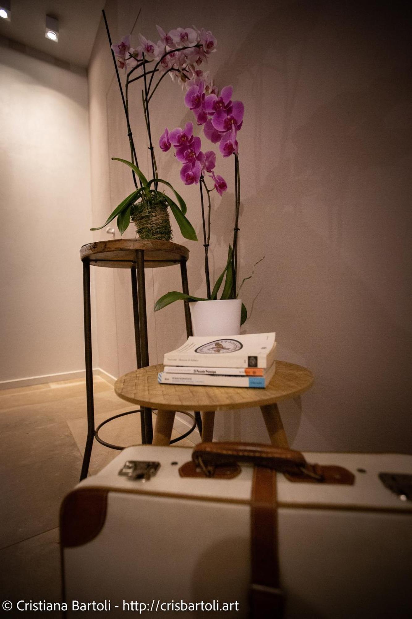 Farm stay Qui E Ora Bevagna